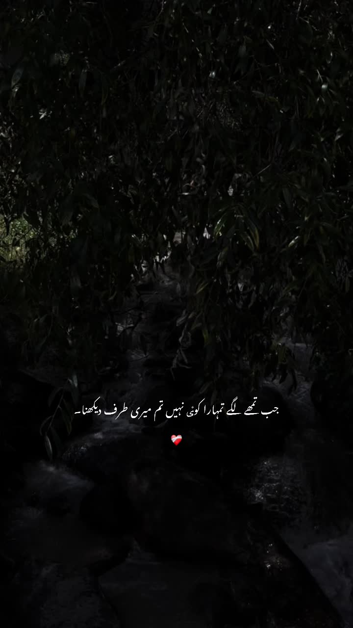 @عباسی🥀