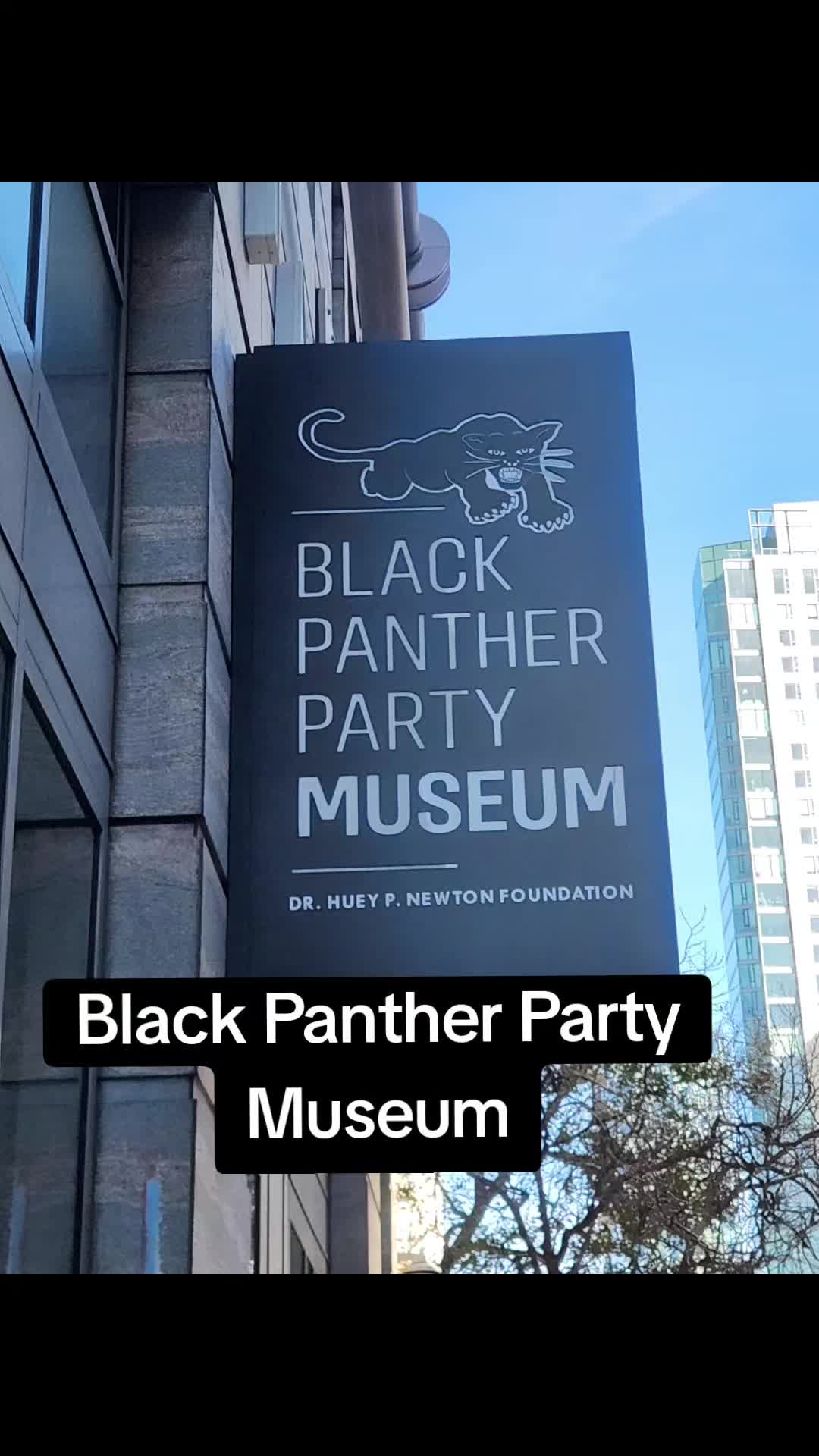 @sj black phoenix 🔥🐦&zwj;🔥🔥