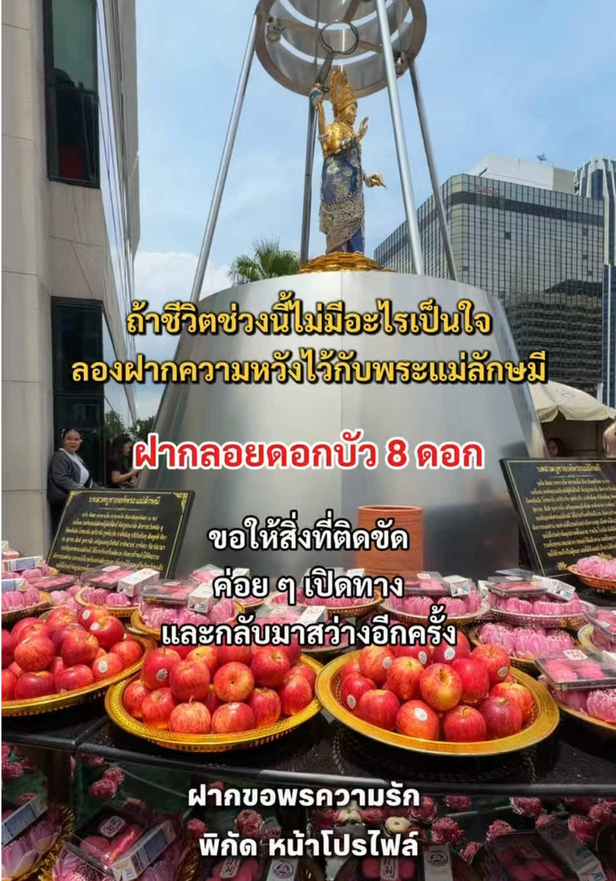 @มามู ออนไลน์ - ฝากไหว้ขอพร