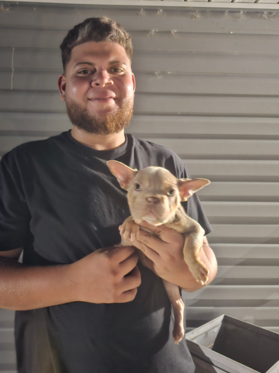 @Diamond State French Bulldogs