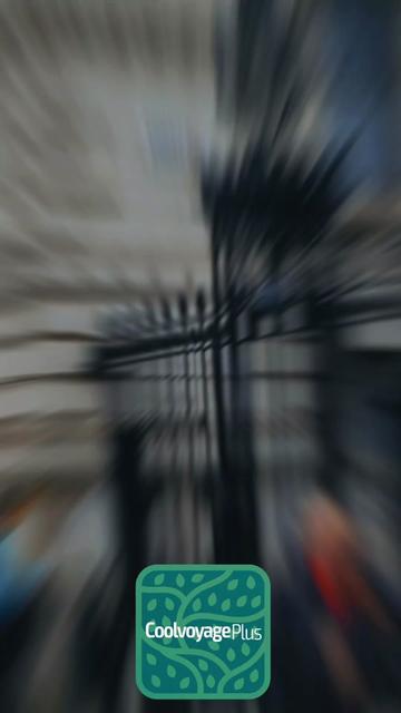 @Flip Calvi