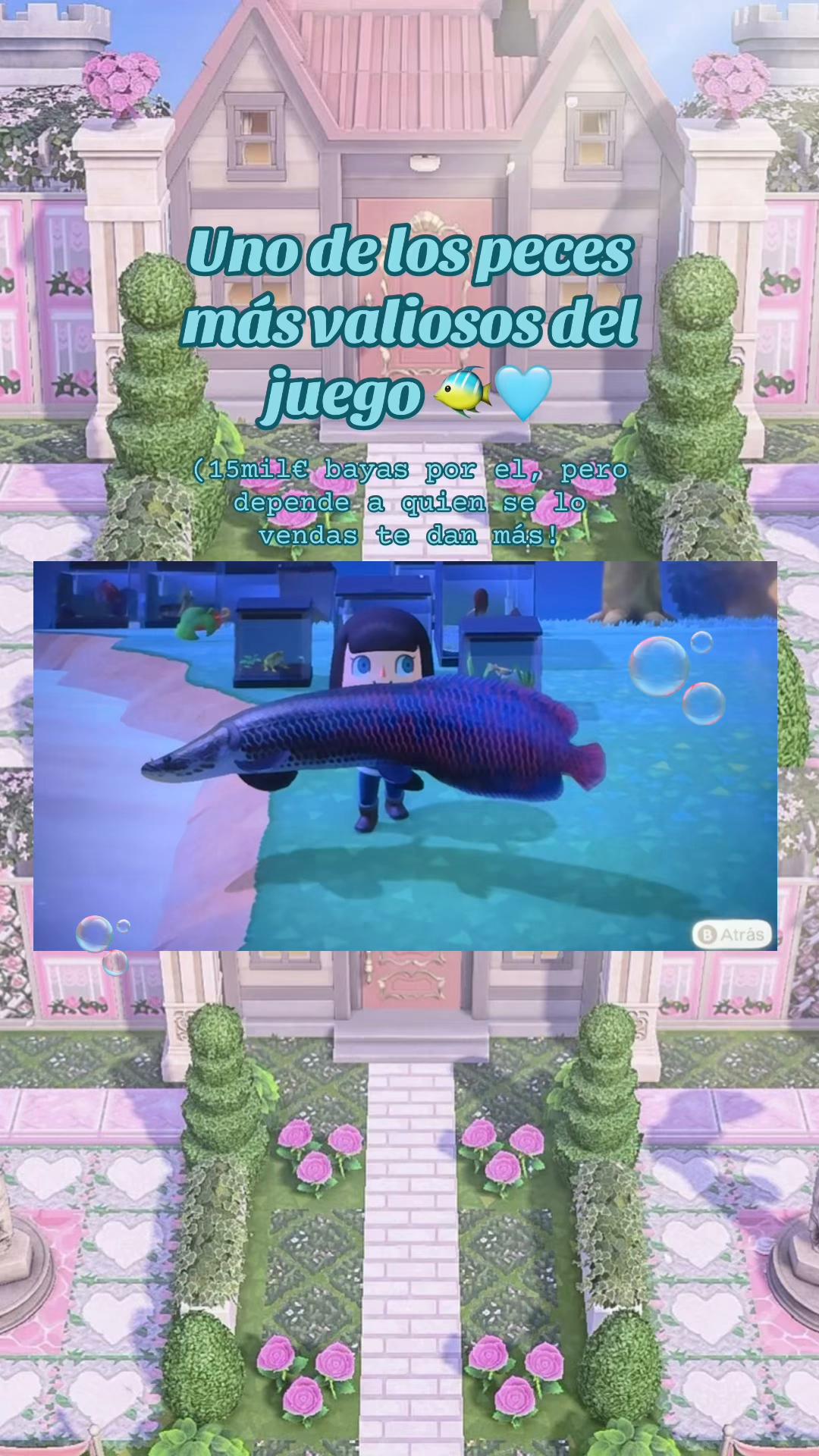 @𝓜𝓲𝓻𝓮𝓲𝓪🦋