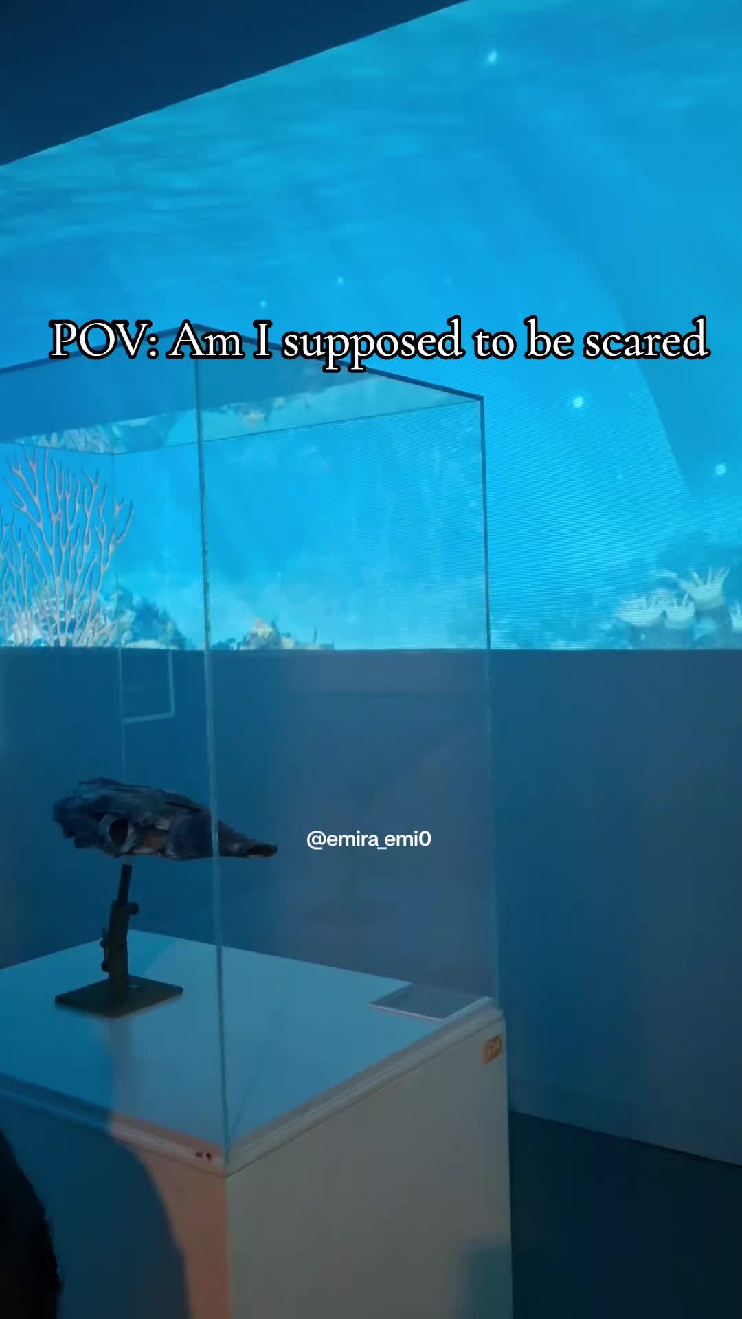 @Emira
