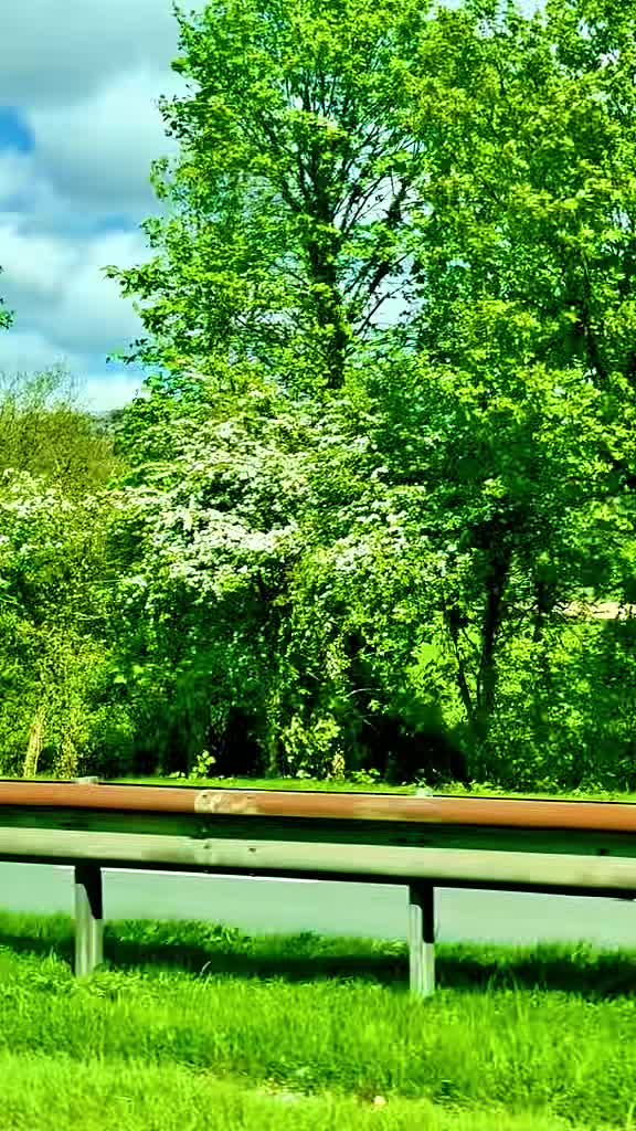 @Nature lover