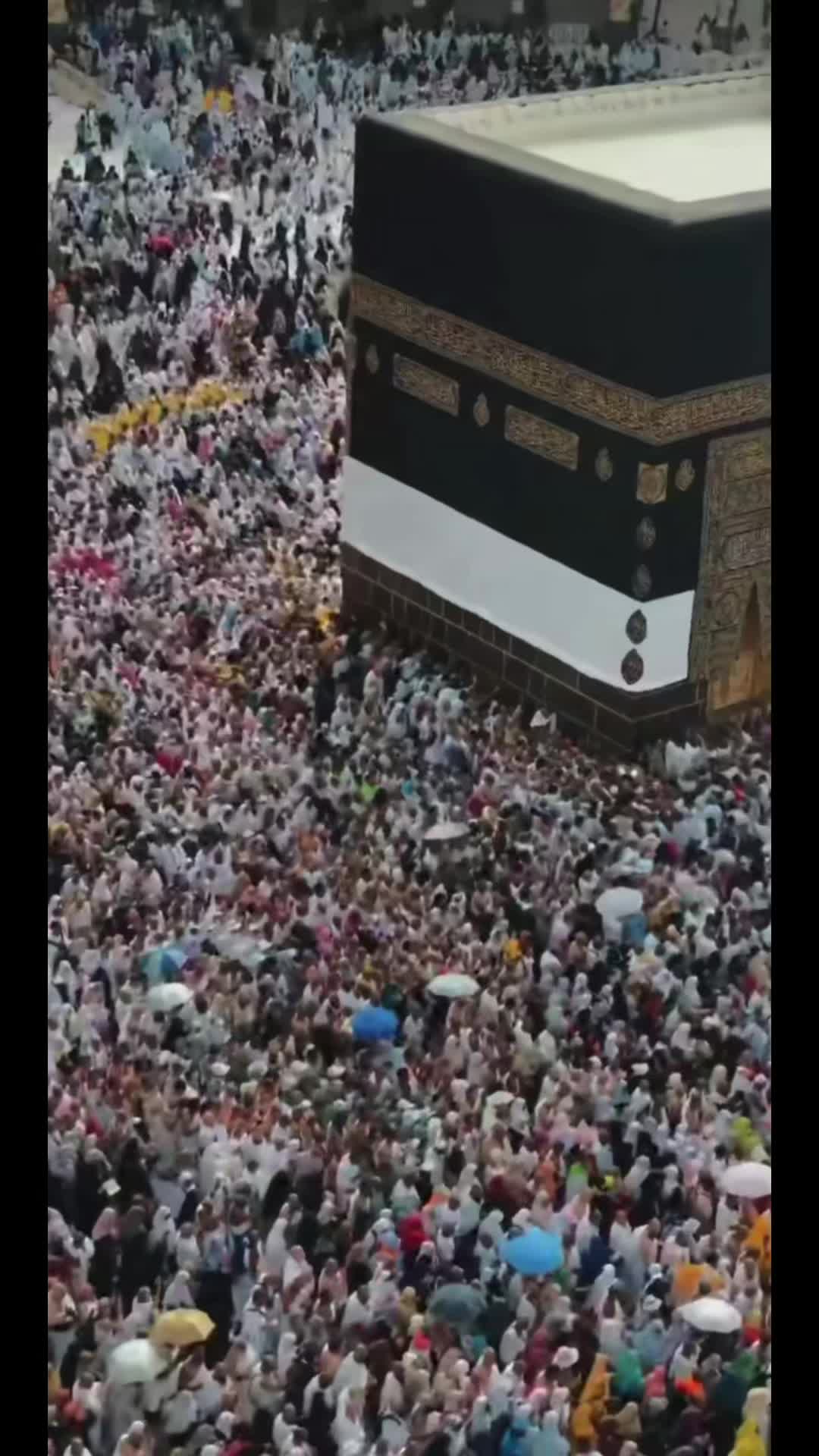 @Allah’s servant🌍