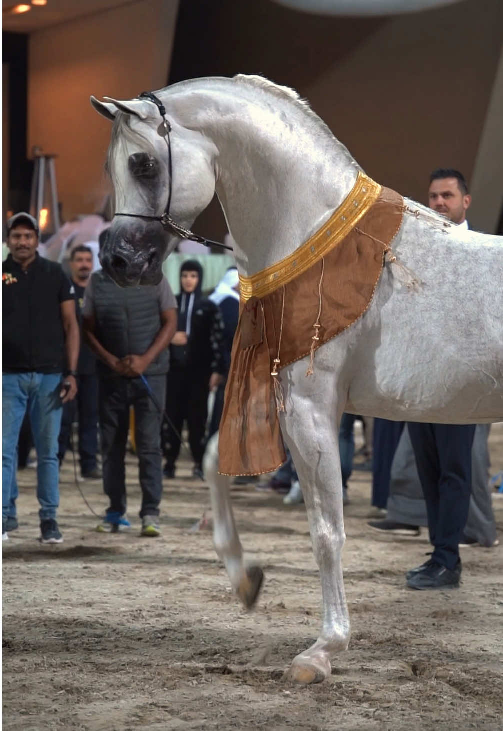@Bader Al Ajmi
