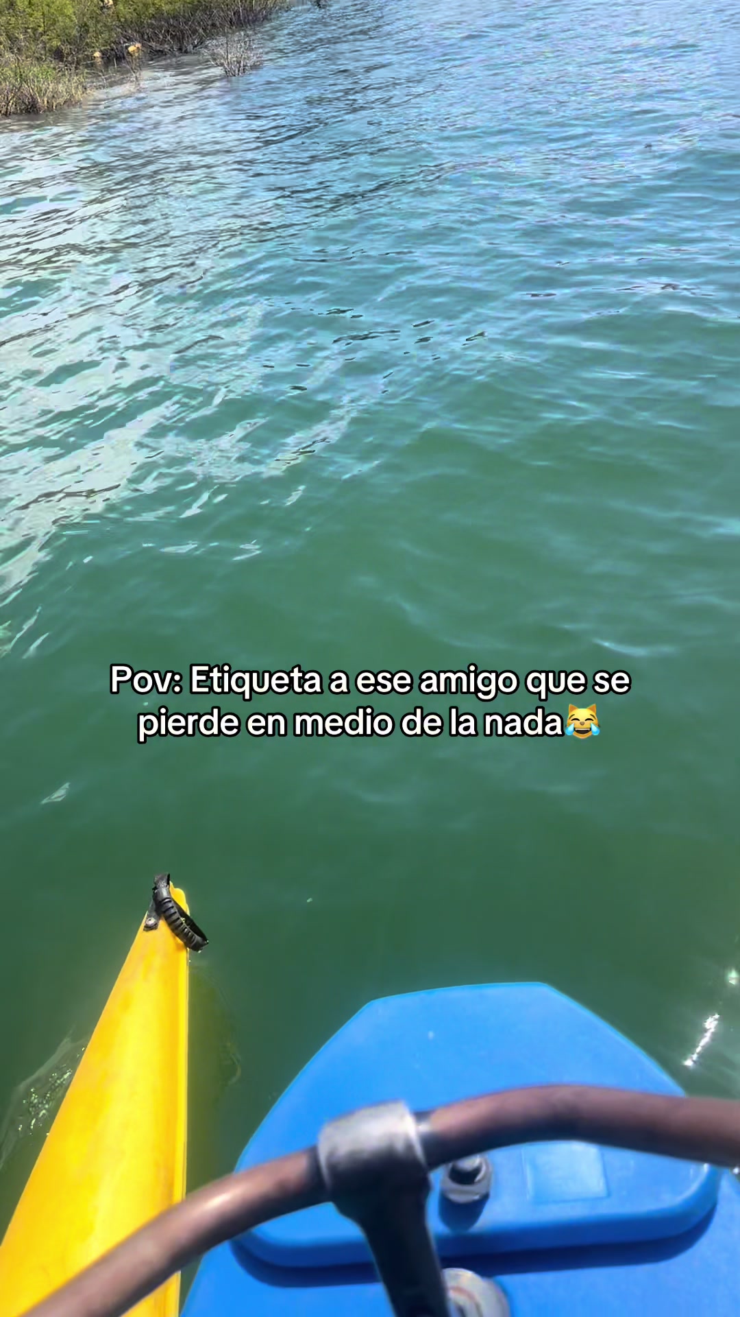 @Andres Alzate