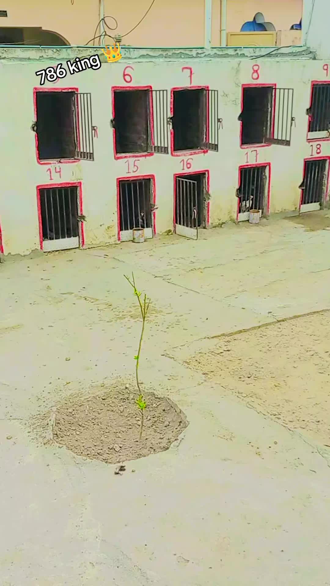 @چوہدری نثار مندیال