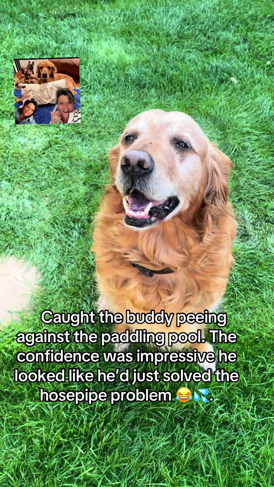 @Happy buddy