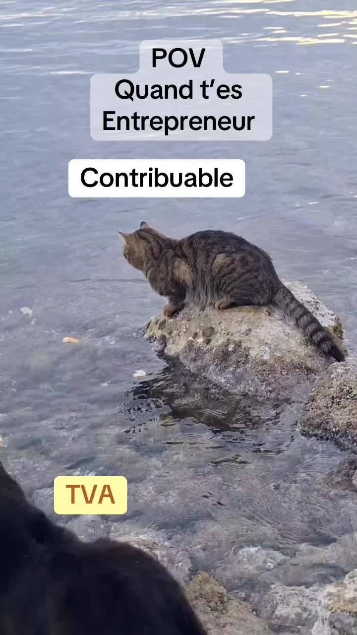 @idiocrate_