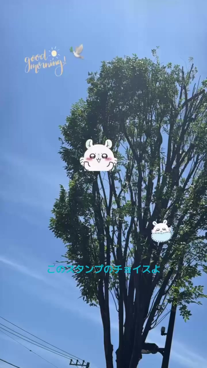 @共に堕ちようINI沼🐉🐹🌊 木村柾哉ℓσνє💛🩵