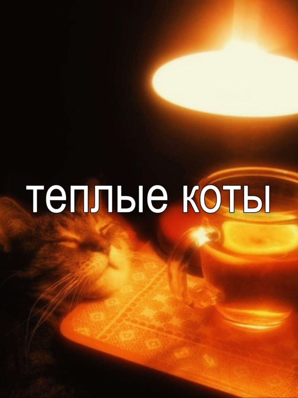 @🎶