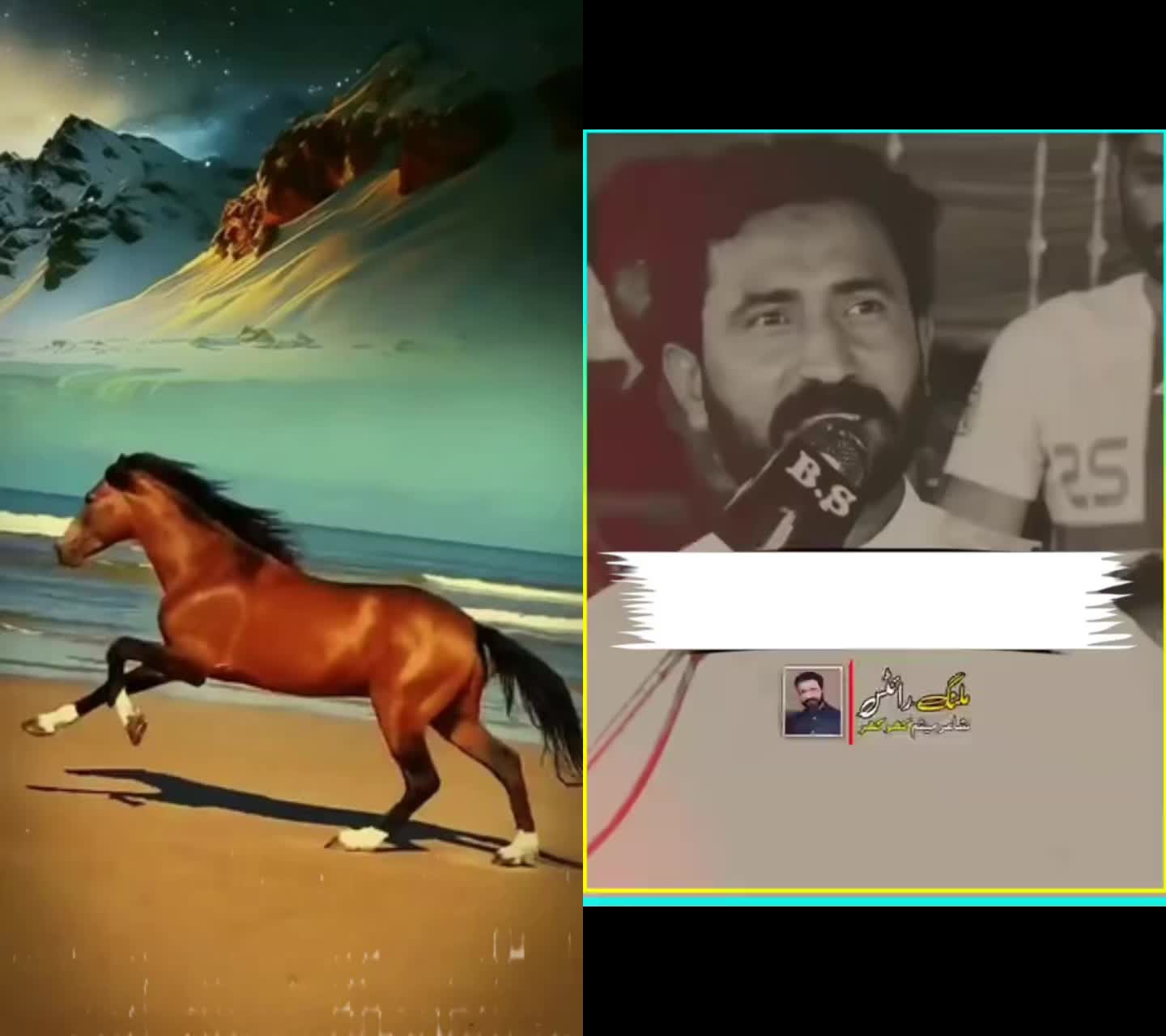 @shahbazahmed3735