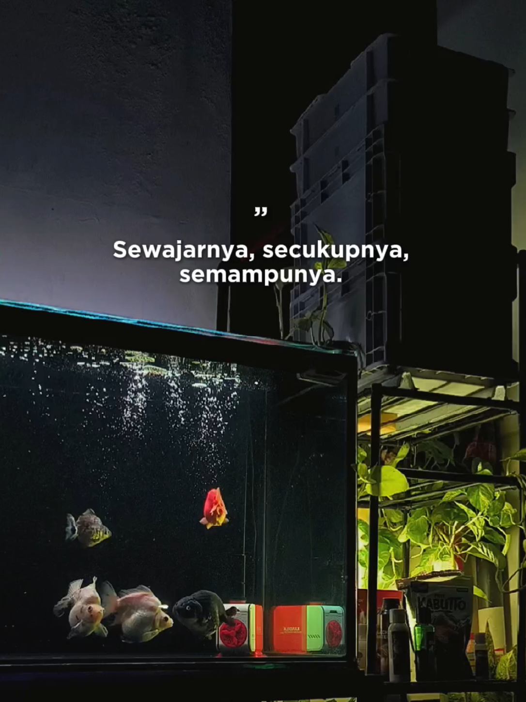@Punya Namita