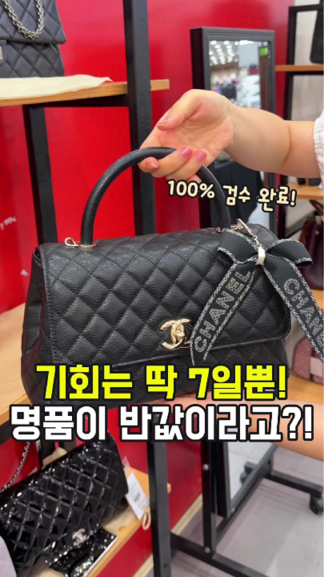 @대전토박이