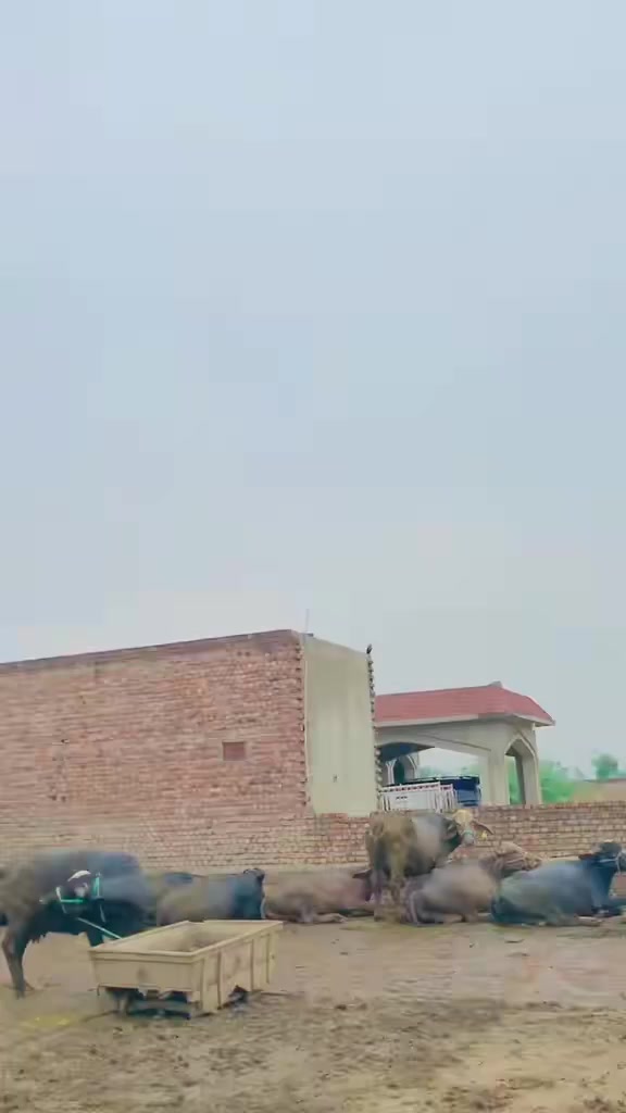 @Qasim07