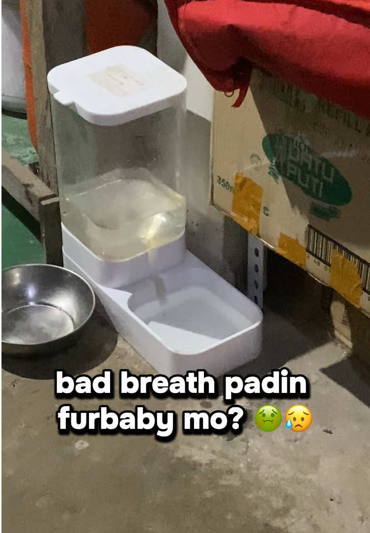 @DailyRN