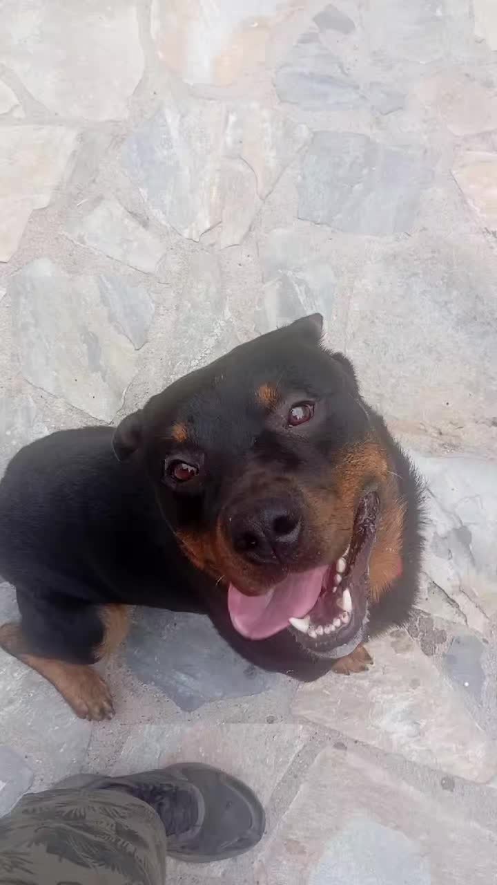 @Tasos Krikelis
