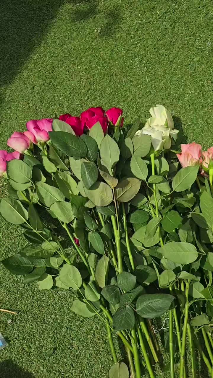 @Businessesbysk