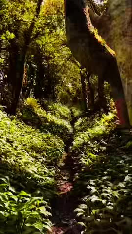@ㅤㅤㅤㅤㅤㅤㅤ