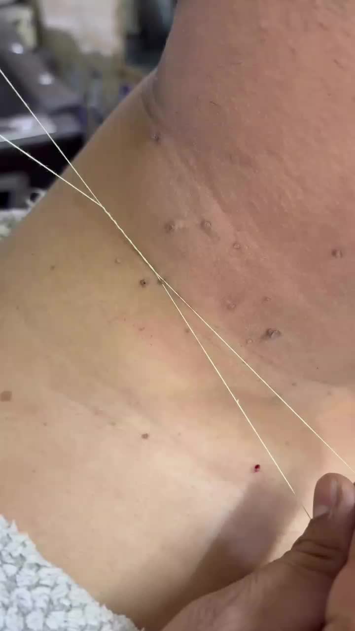 @haidebtkwik