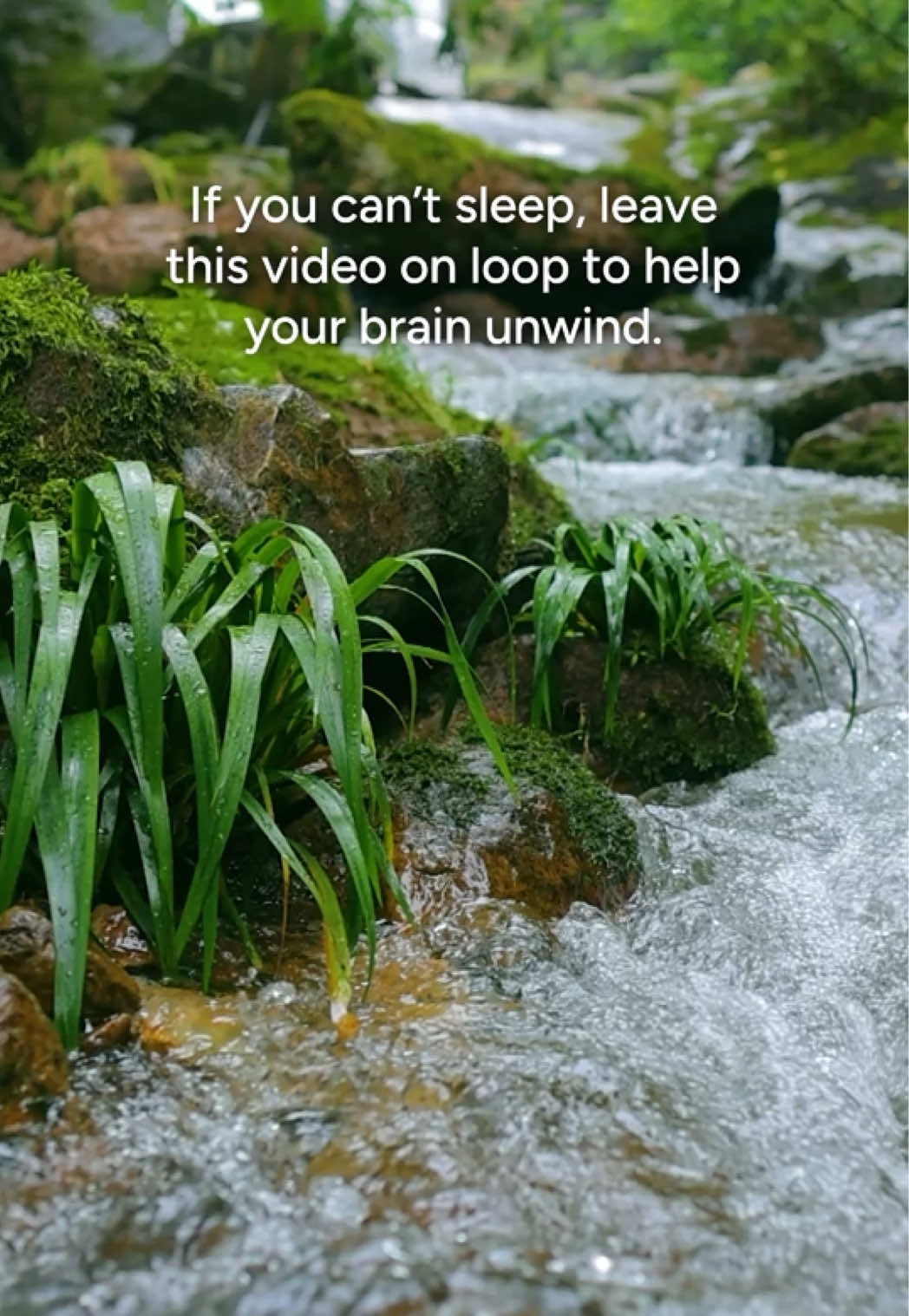 @Calm