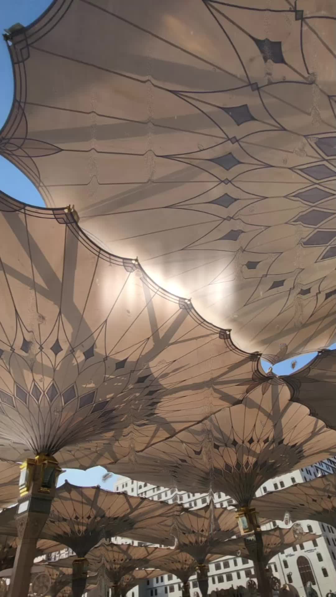 @._.A_M._.