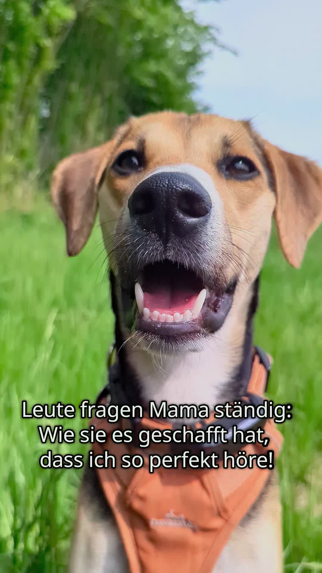 @ꪑⅈꪶꪖ ꪑꪮꪀᥴꫝꫝⅈᥴꫝⅈ
