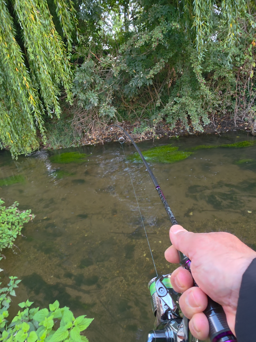 @BF Angler