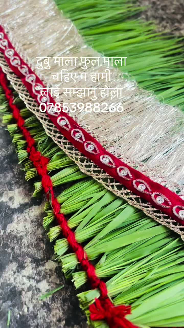 @Sulochana Gurung216