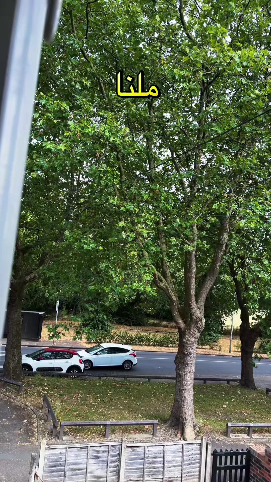 @M.R
