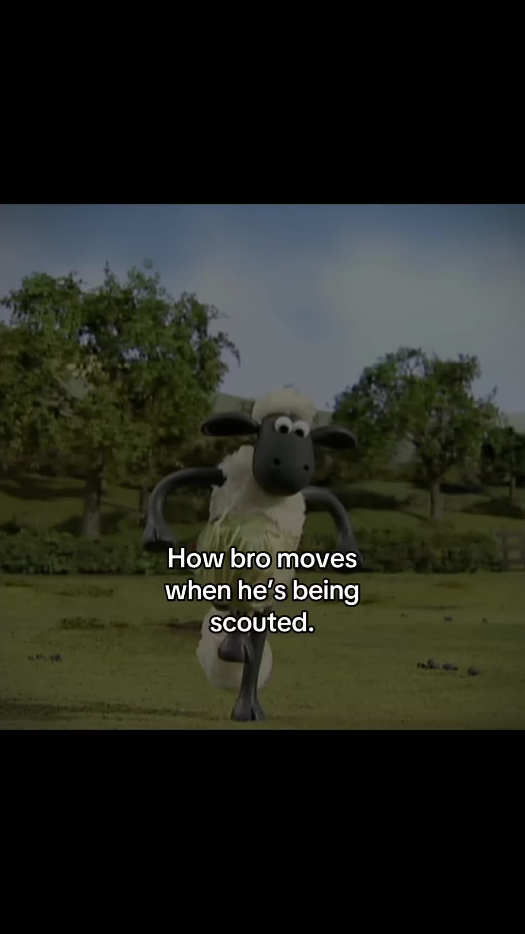 @editor