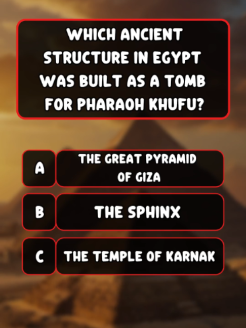@Quiz Master 365