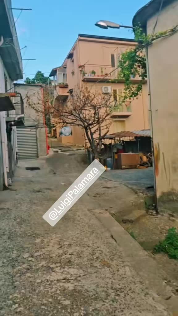 @Luigi Palamara