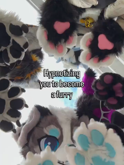 @radywolf