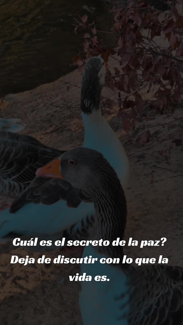 @Luz Marina Valenc781