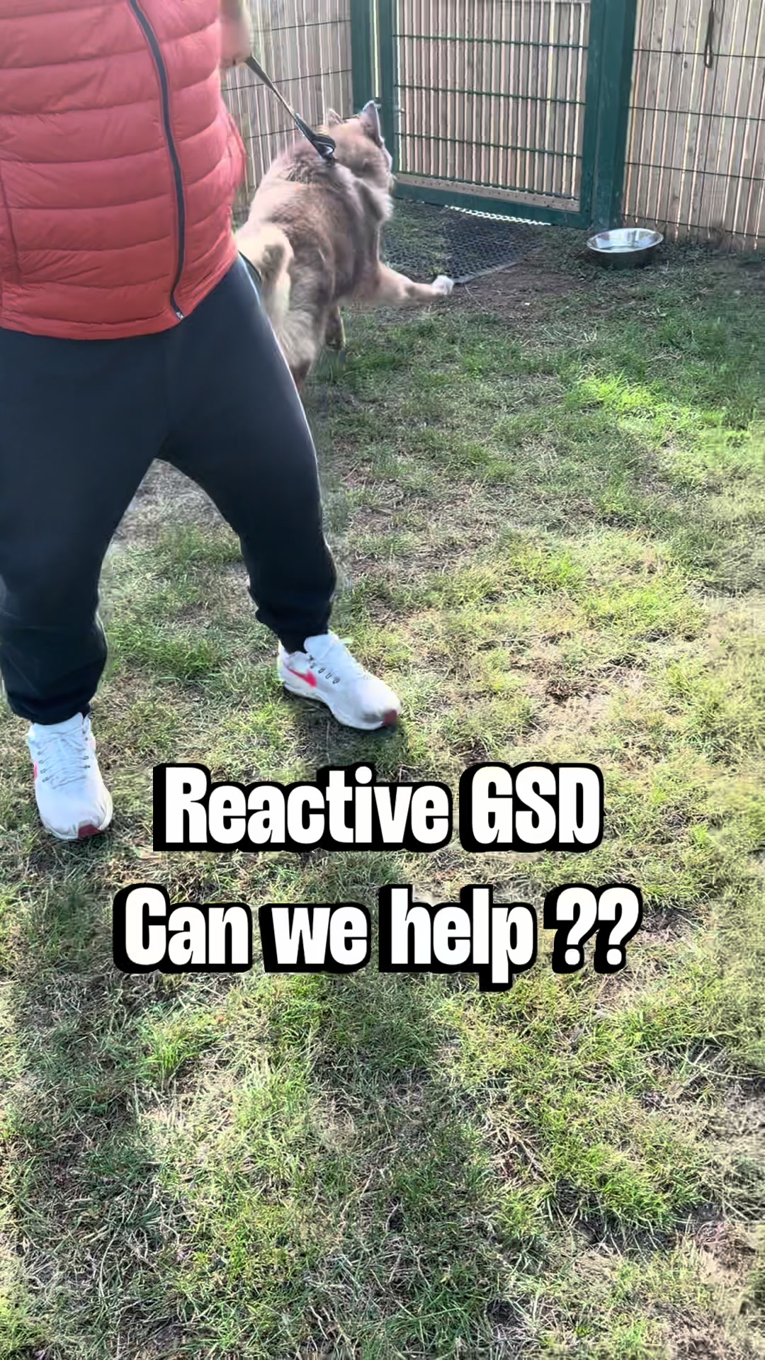 @SouthendDogTraining