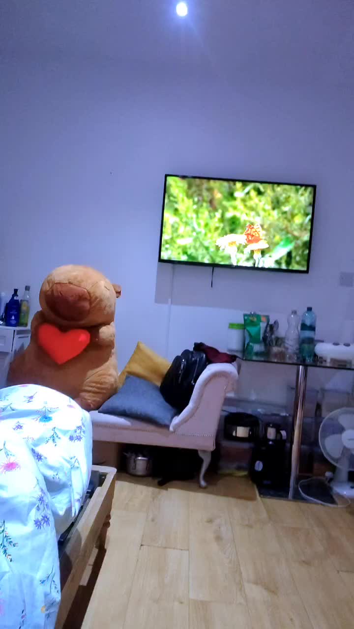 @Sanjh