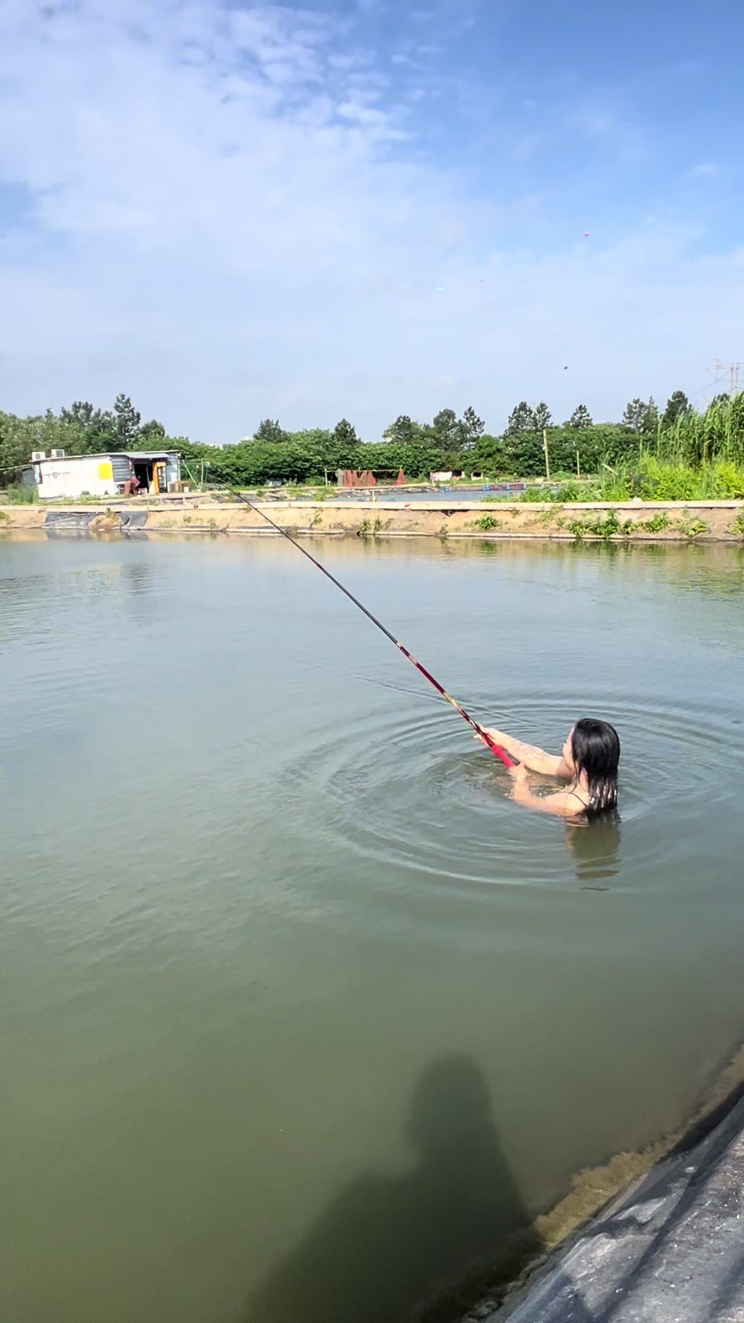 @Ngư D&acirc;n TikkTok