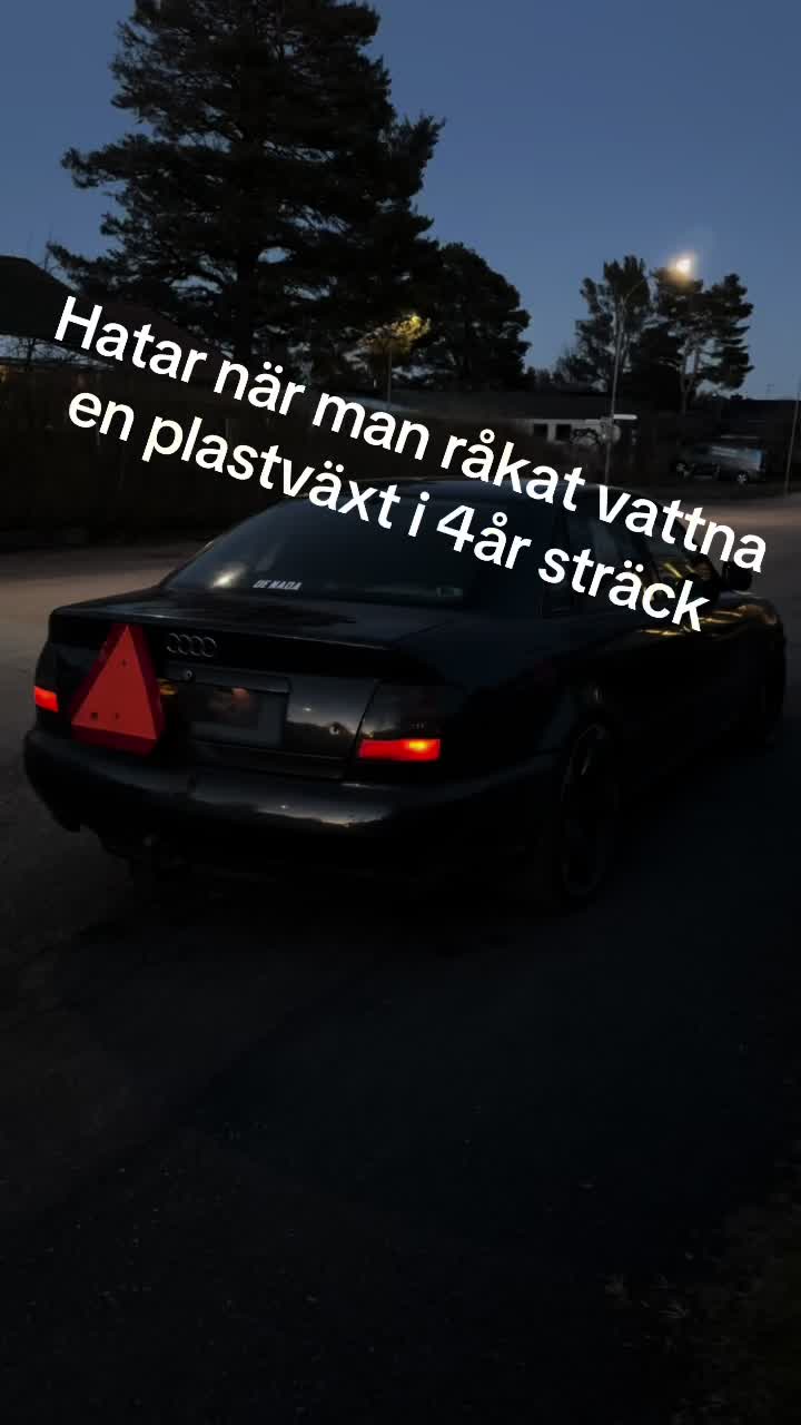 @𝓜.𝓩𝓮𝓽𝓽𝓮𝓻𝓼𝓽𝓻𝓸̈𝓶