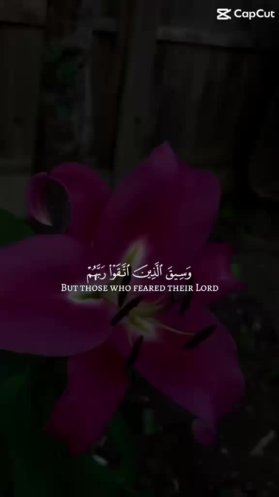 @قرآن كريم
