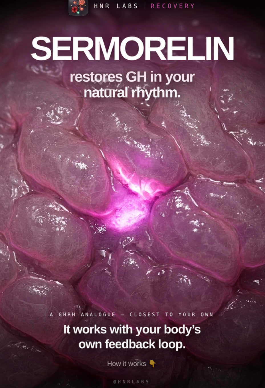 @HNR Labs