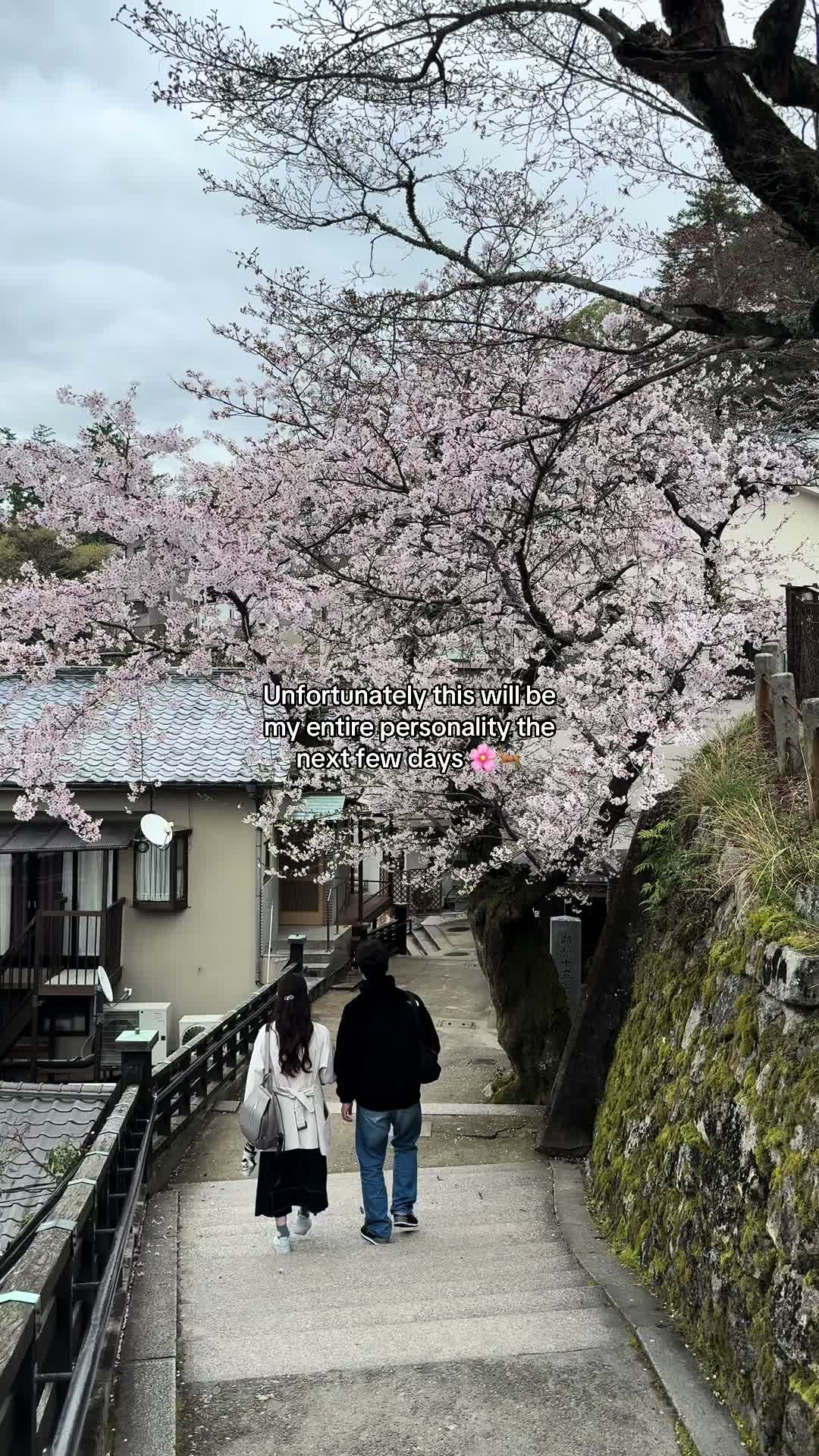 @Carmencita | Life in Japan