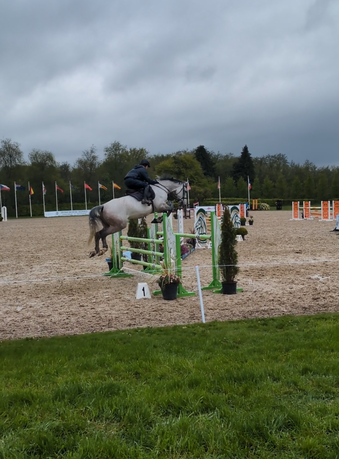 @irishsporthorses