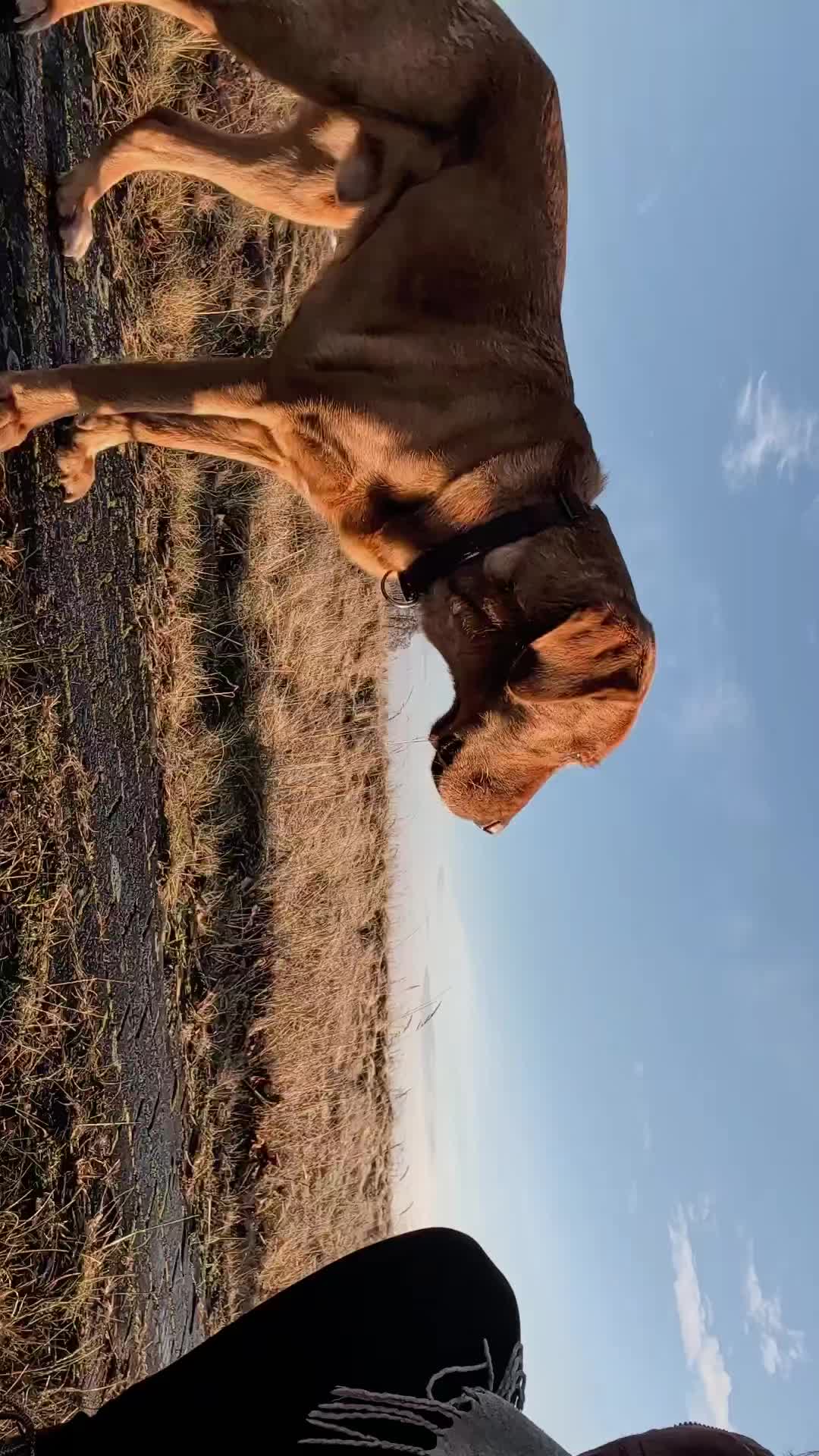 @Stella2501