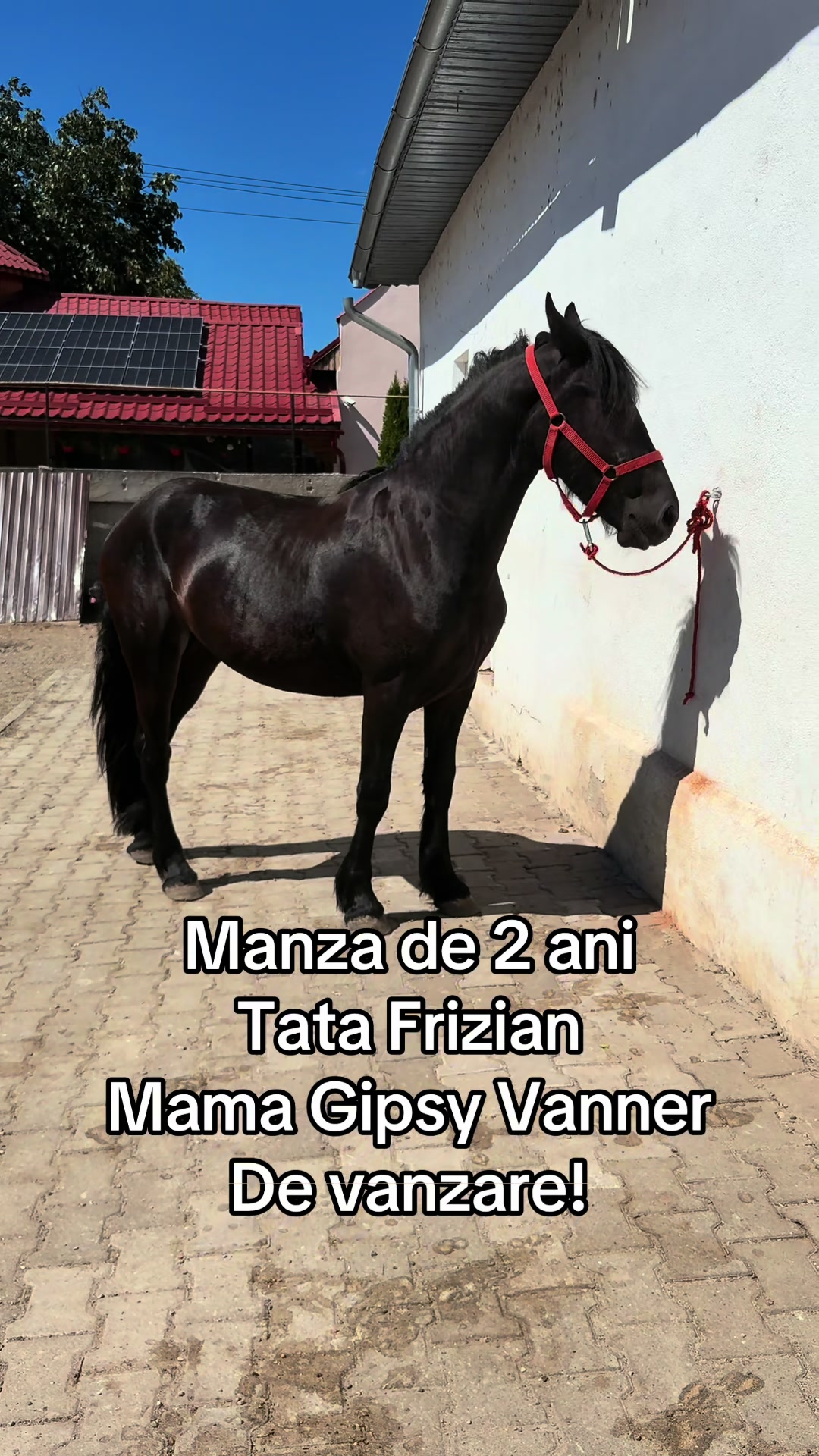@Emanuel Slevas