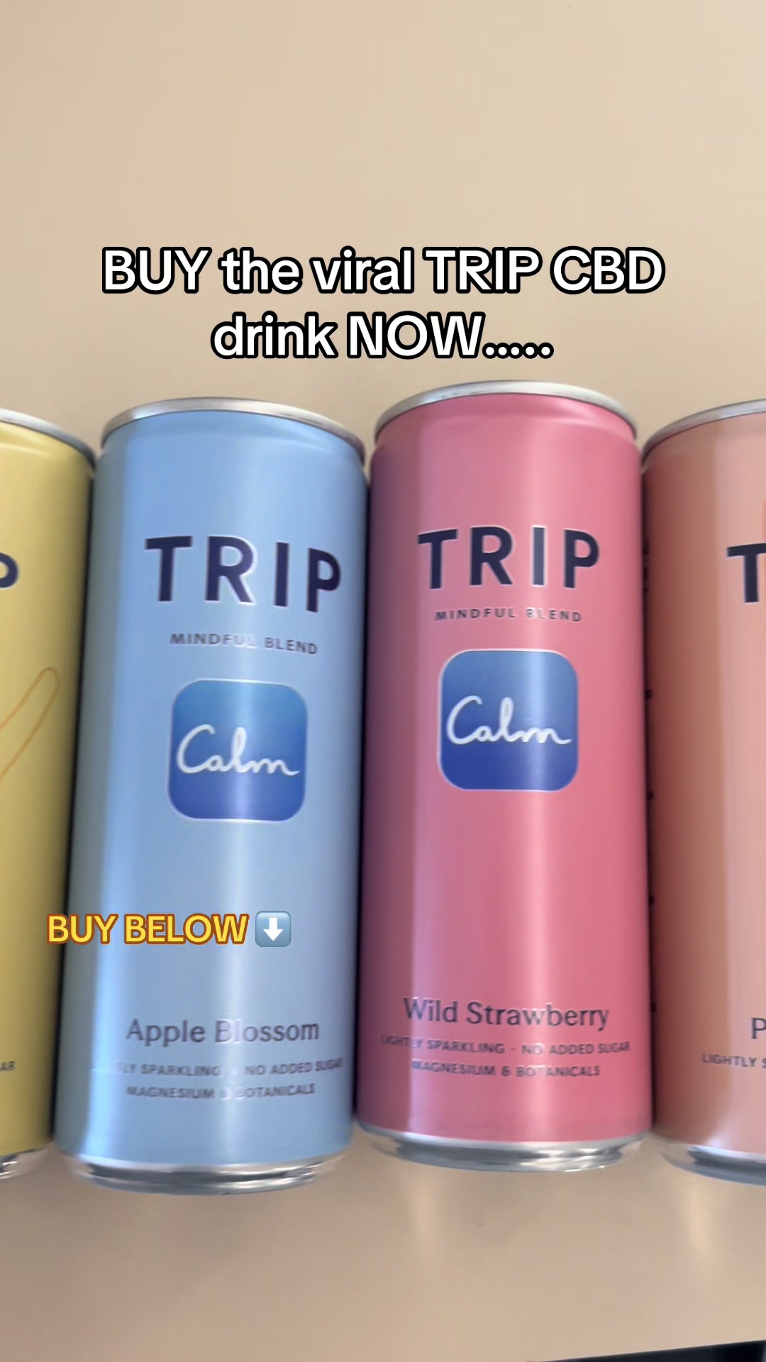 @Teamwork&TikTokshop