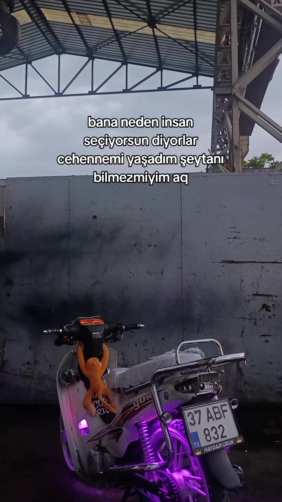 @Haydar uzun✍️