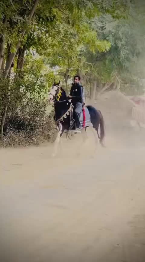 @Malik Ali Abbas Saggu🔥