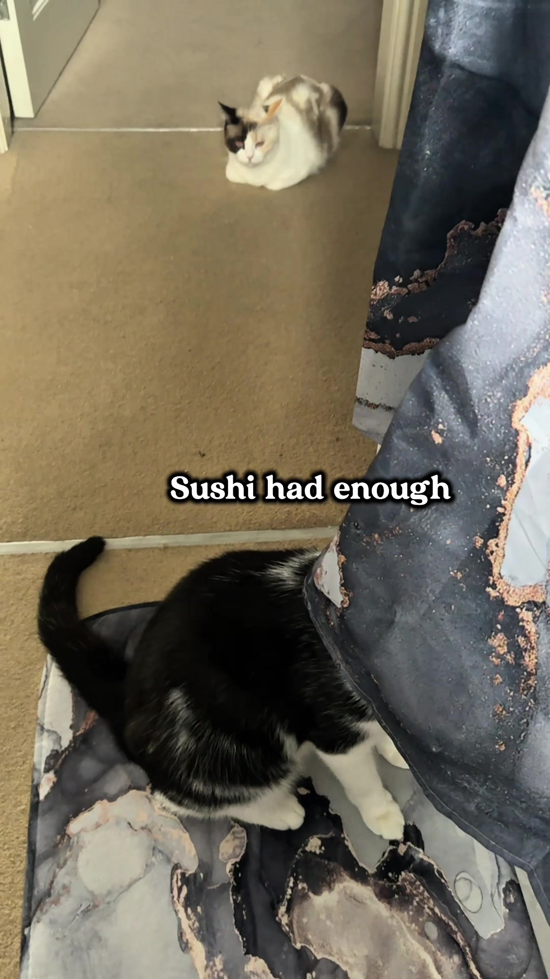 @slavic_cat_mum